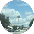 ty m. Avatar